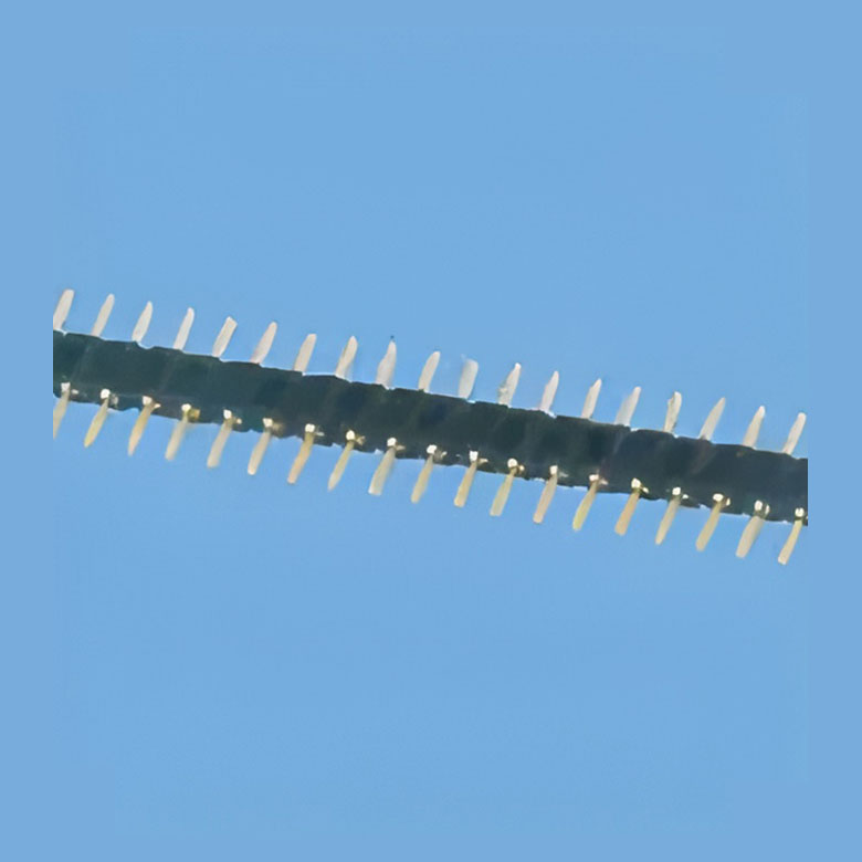 JD1006-A