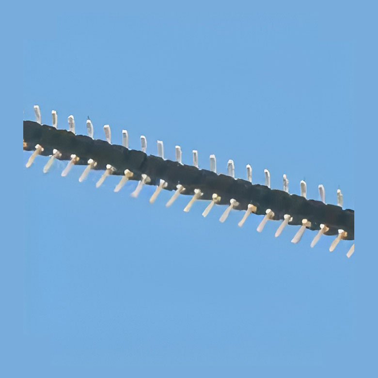 JD1004-L